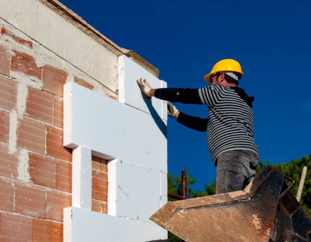 Best Residential Insulation in Auburndale, FL